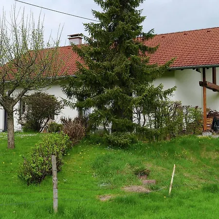 Apartment Cosy In Allg U With Garden *